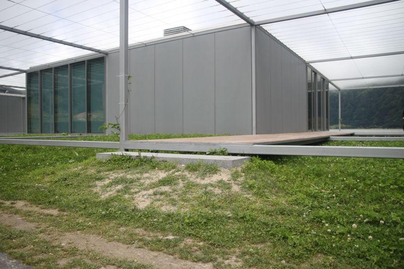 Urban Front and Tea House in Sete Cidades Lagoon