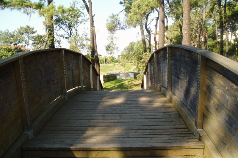 3 Pedestrian Bridges in Parque da Pasteleira