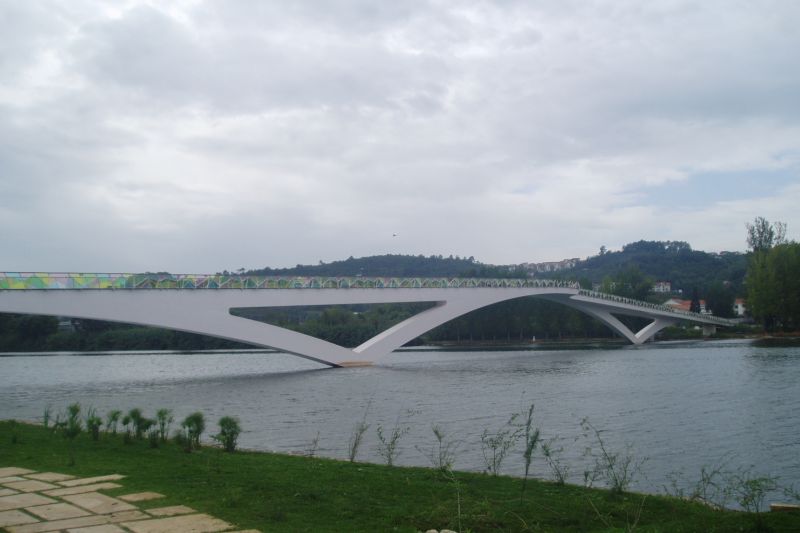 Pedro and Inês Pedestrian Bridge