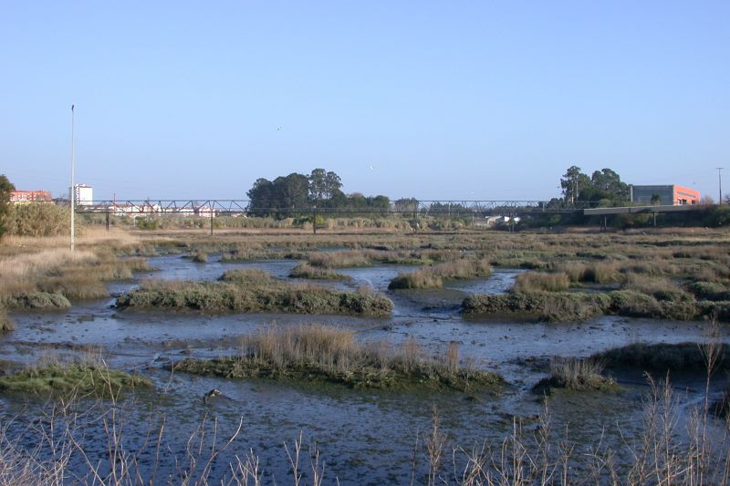 Pedestrian Bridge over the Esteiro de S. Pedro