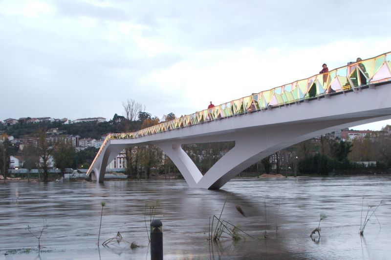 Pedro and Inês Pedestrian Bridge