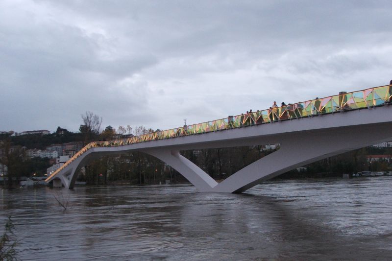 Pedro and Inês Pedestrian Bridge