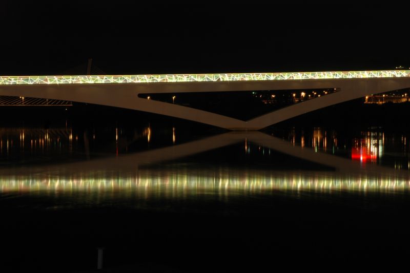 Pedro and Inês Pedestrian Bridge