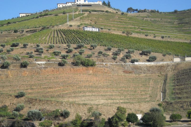 Winnery at Quinta do Seixo