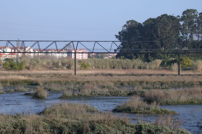 Pedestrian Bridge over the Esteiro de S. Pedro